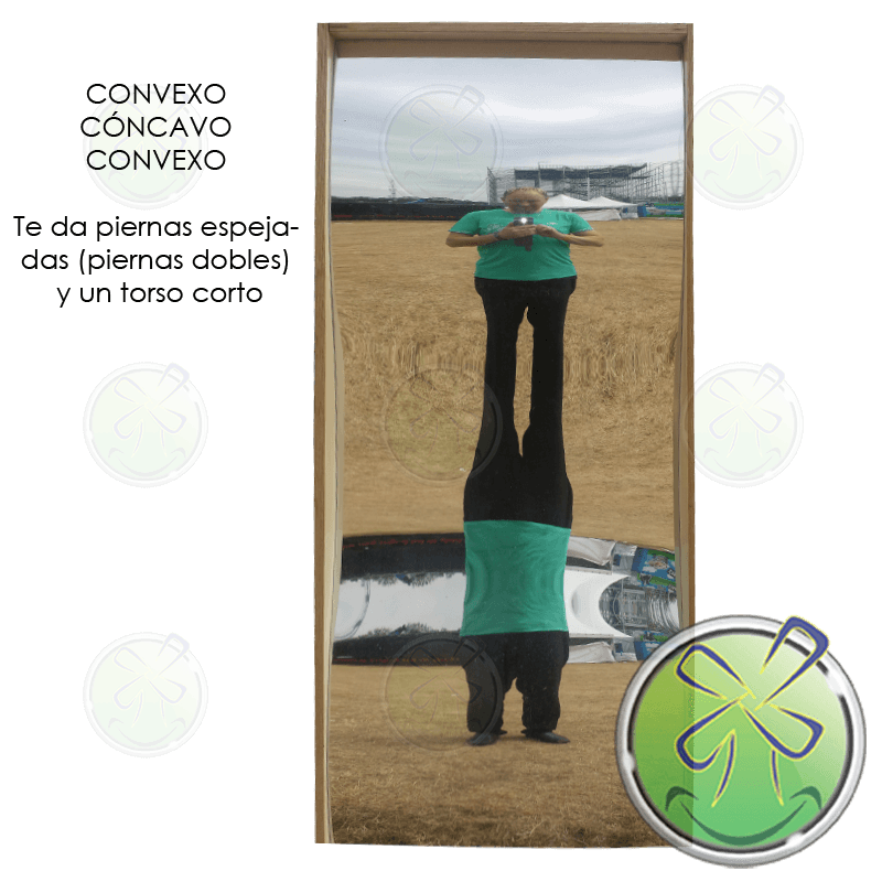 Concavo convexo concavo te ofrece patas espejadas (patas dobles) y un torso corto. Concexo concavo convexo te ofrece patas espejadas (patas dobles) y un torso corto.