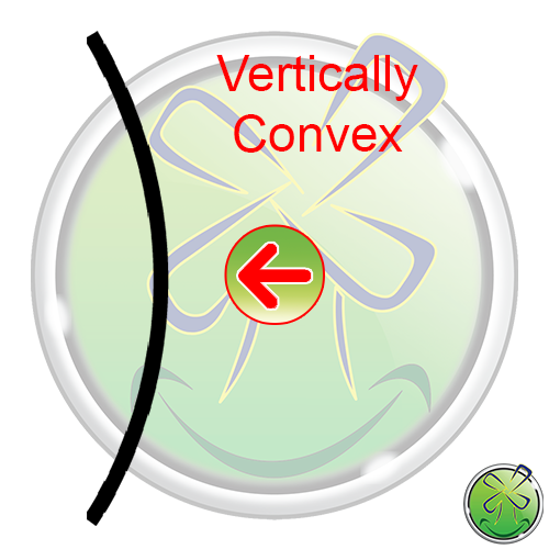 Vertically Convex