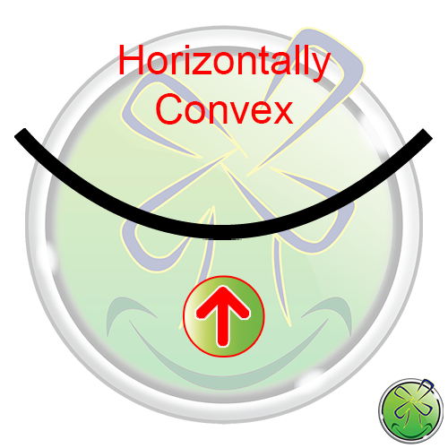 Horizontally Convex